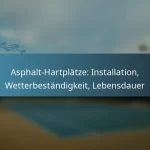 featured-image-asphalt-hartplatze-installation-wetterbestandigkeit-lebensdauer